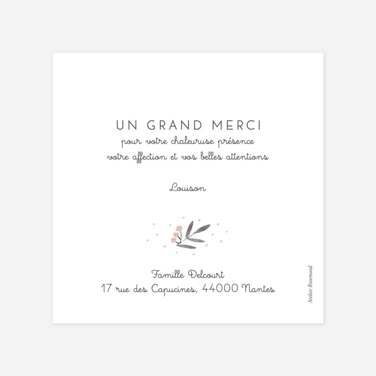 Carte remerciement naissance Jolies brindilles