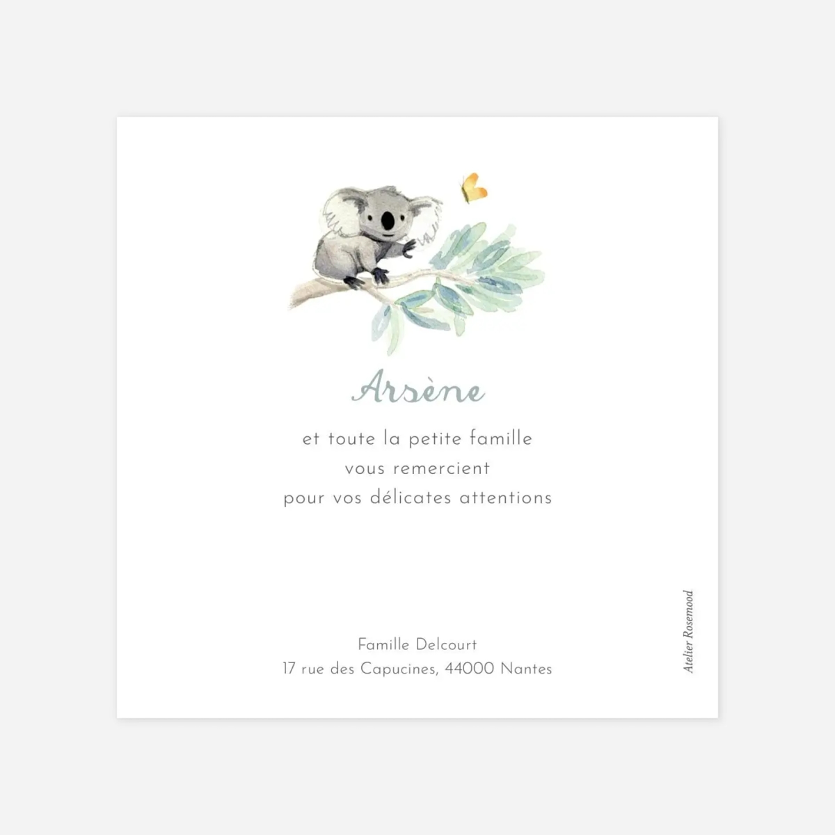 Carte remerciement naissance Koalas en famille