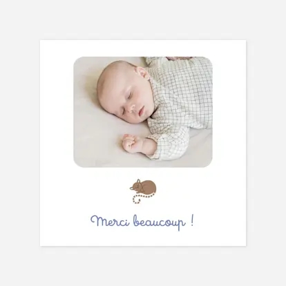 La famille des animaux