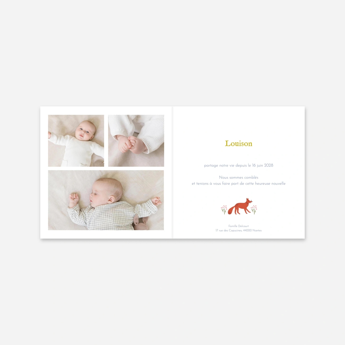 Faire-part naissance Liberty renard
