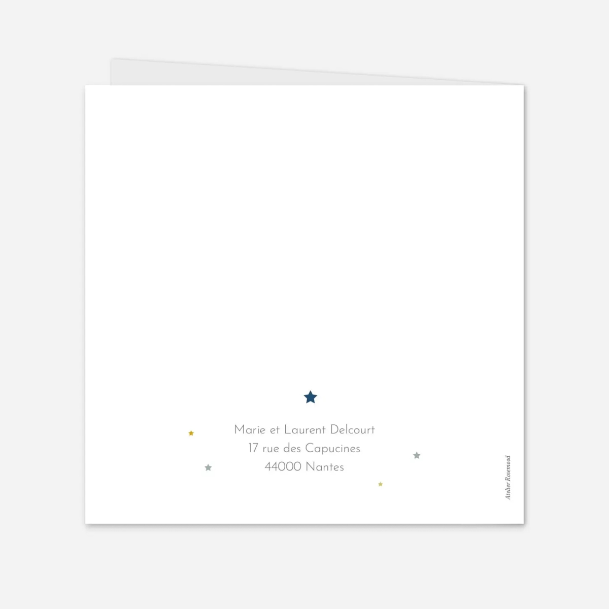 Faire-part naissance Lovely family jumeaux