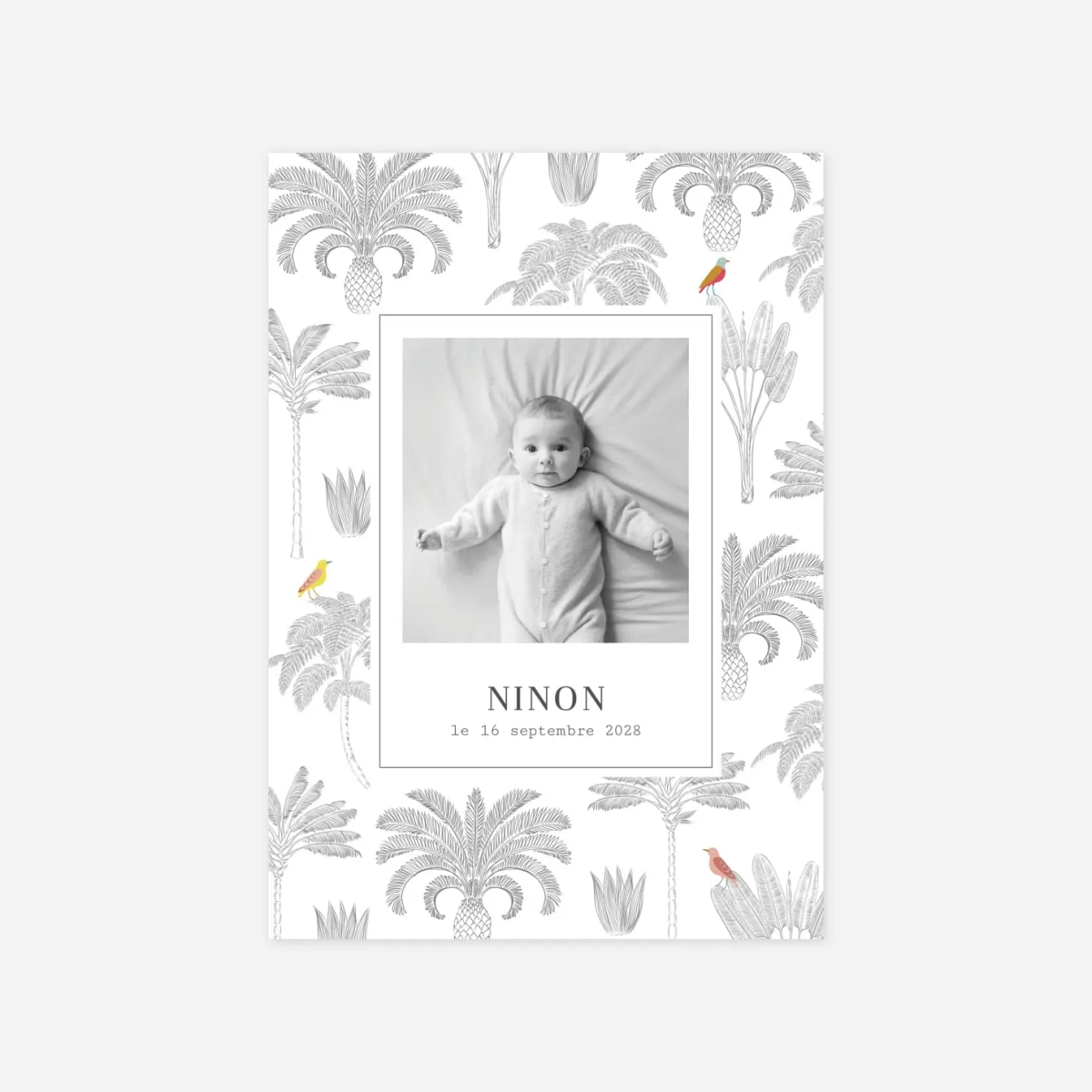 Faire-part naissance Oiseaux de paradis