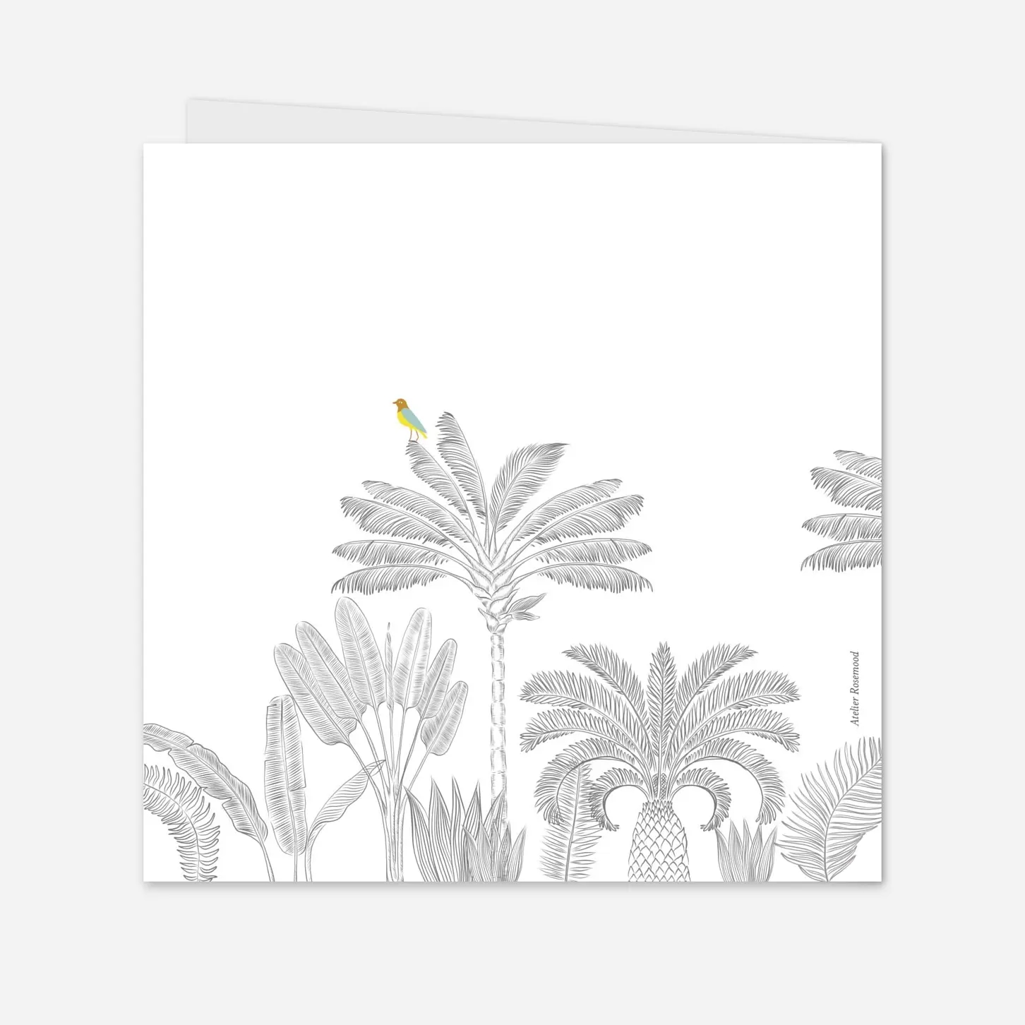 Faire-part naissance Oiseaux de paradis