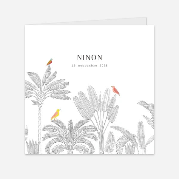 Oiseaux de paradis