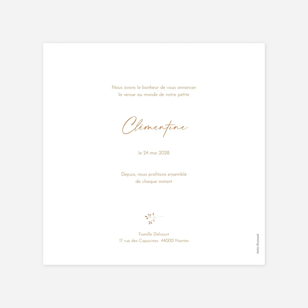 Faire-part naissance Pampas fleuries couronne