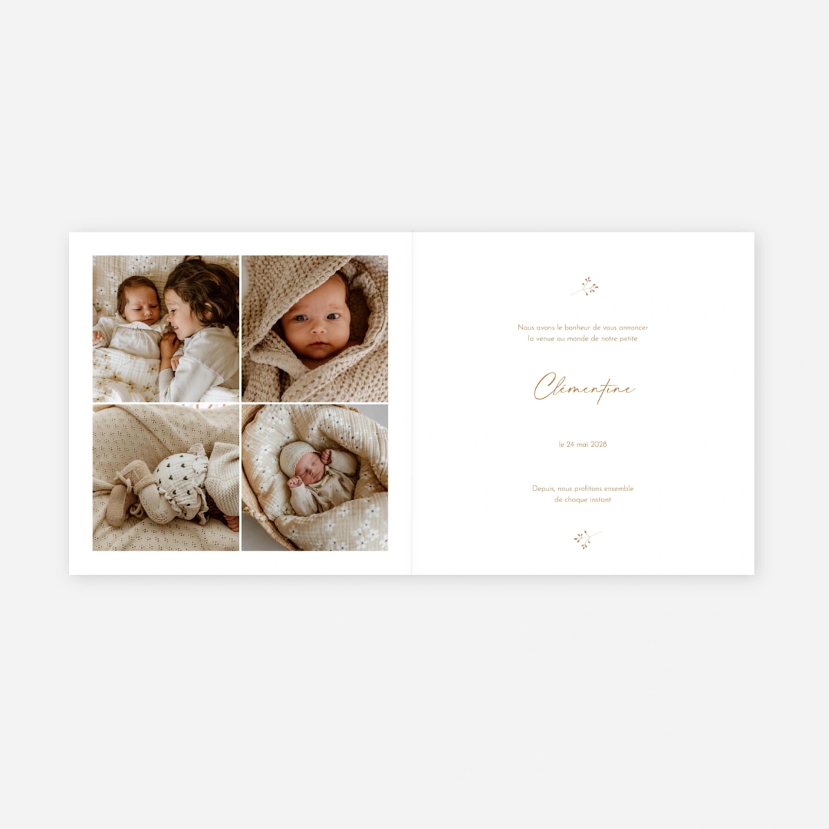 Faire-part naissance Pampas fleuries couronne