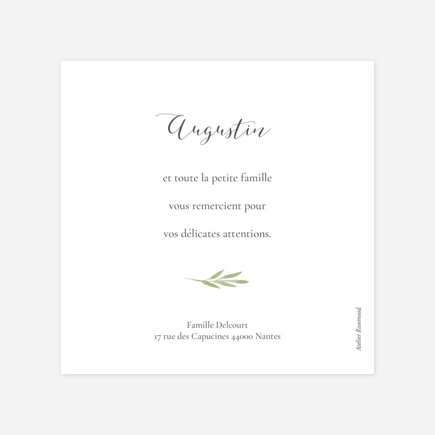 Carte remerciement naissance Petits brins