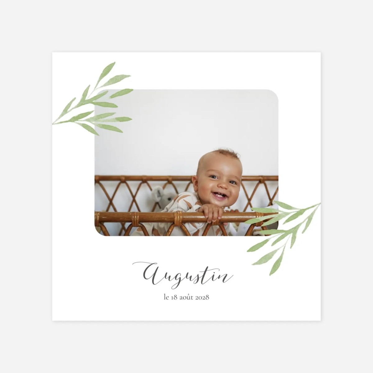 Faire-part naissance Petits brins