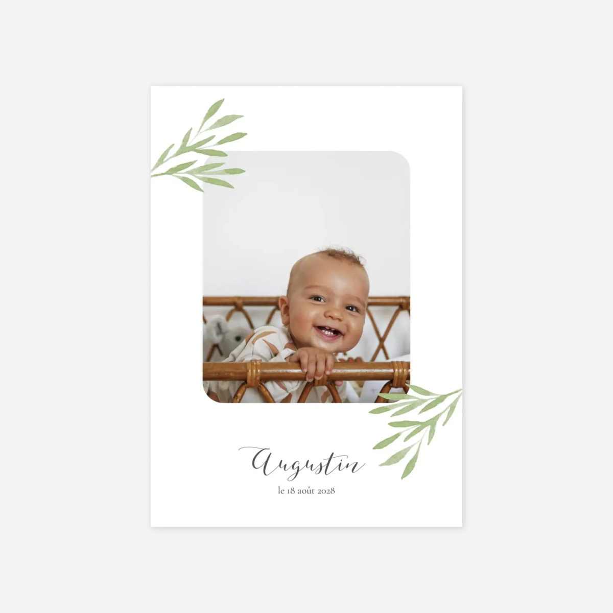 Faire-part naissance Petits brins