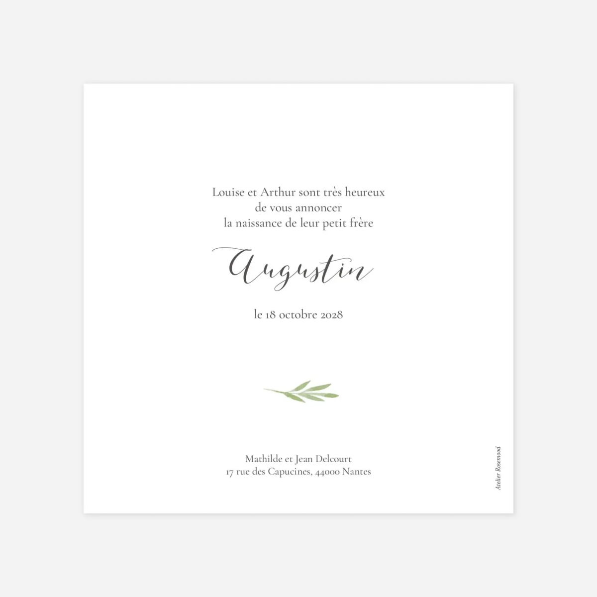 Faire-part naissance Petits brins