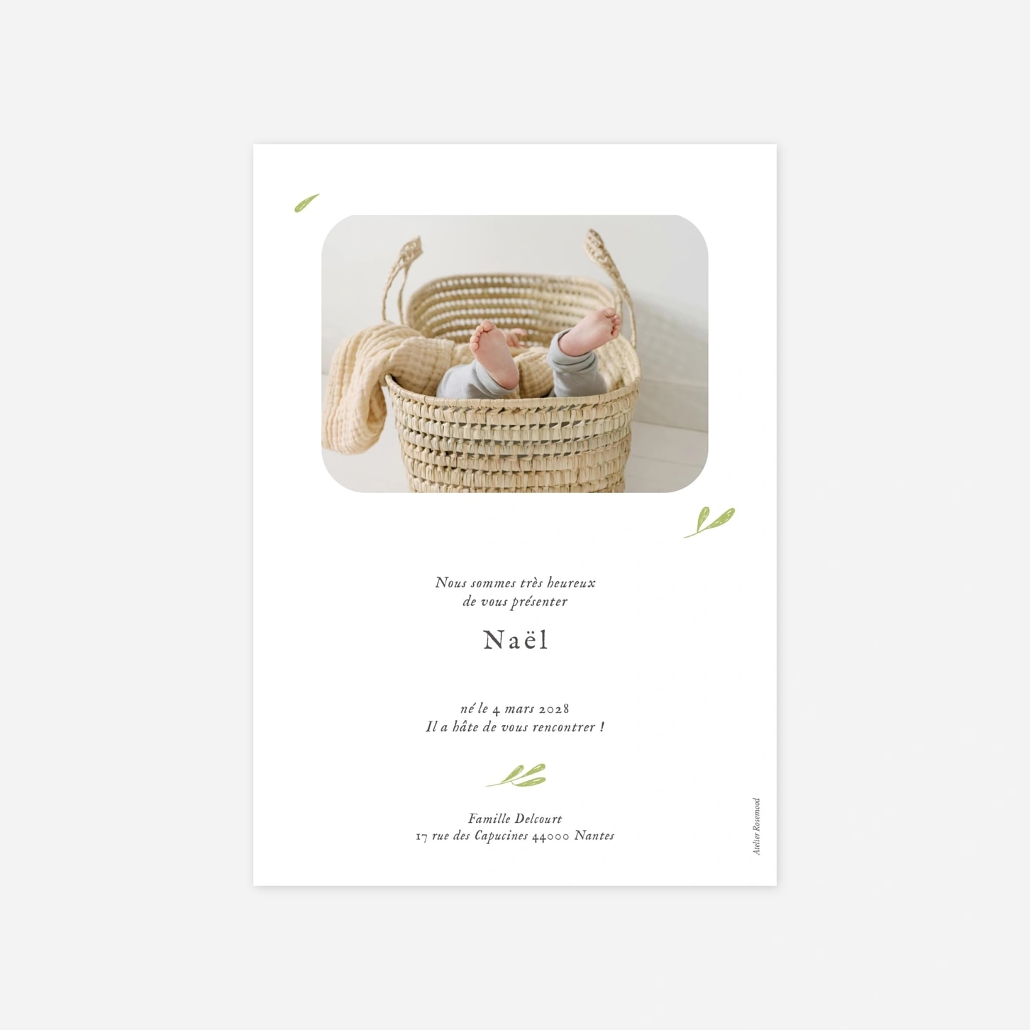 Faire-part naissance Pictos de la savane