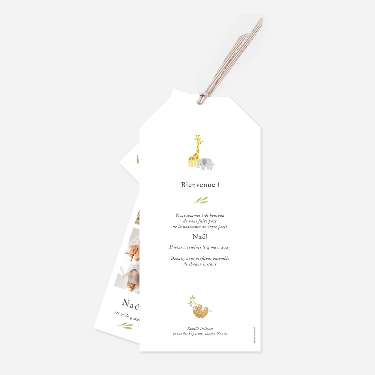 Faire-part naissance Pictos de la savane