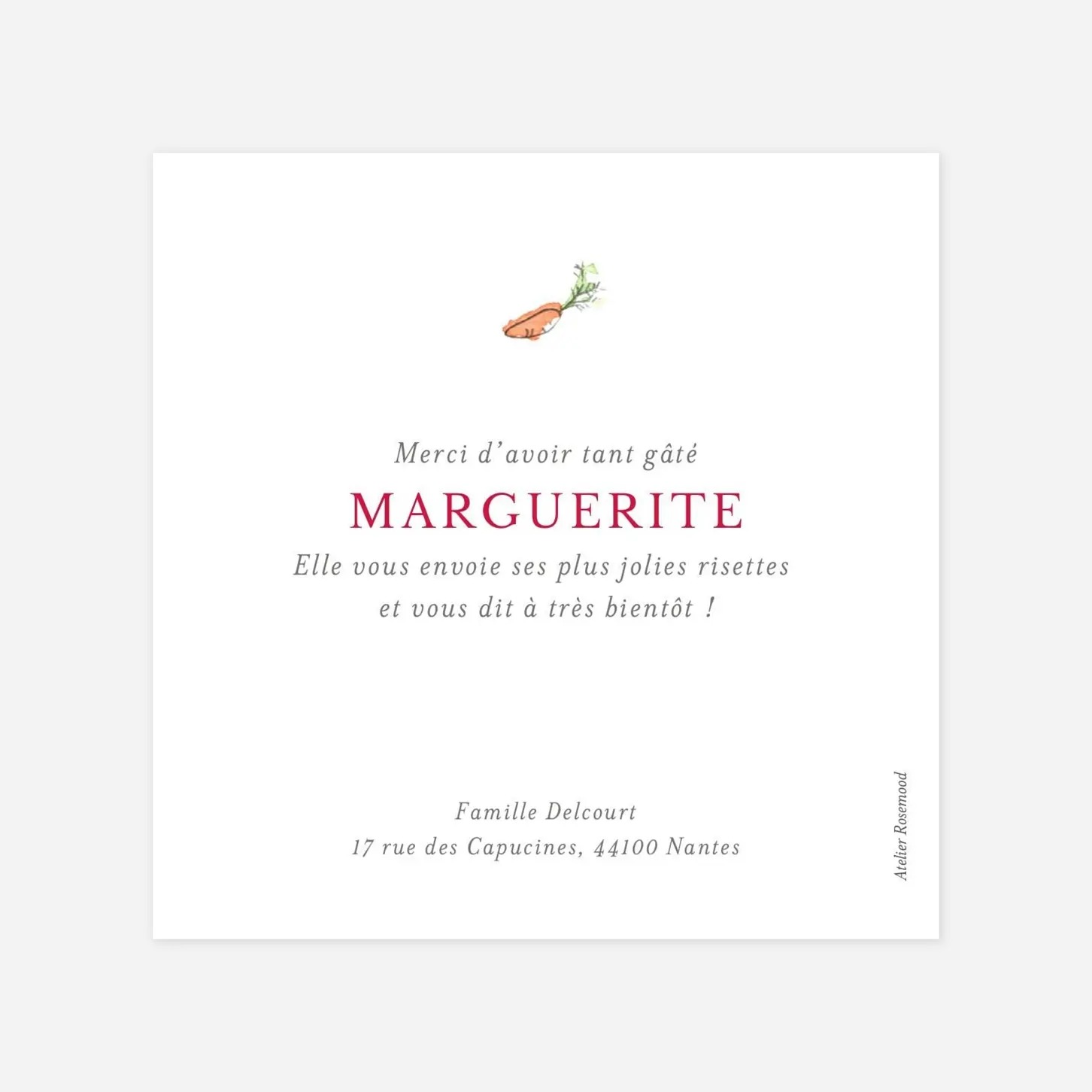 Carte remerciement naissance Petits lapins