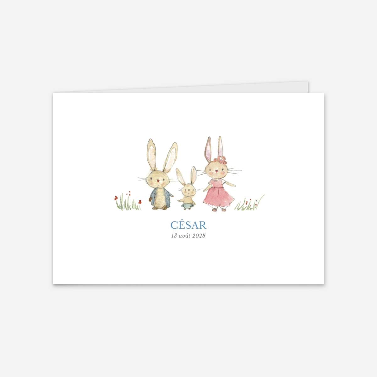 Faire-part naissance Petits lapins