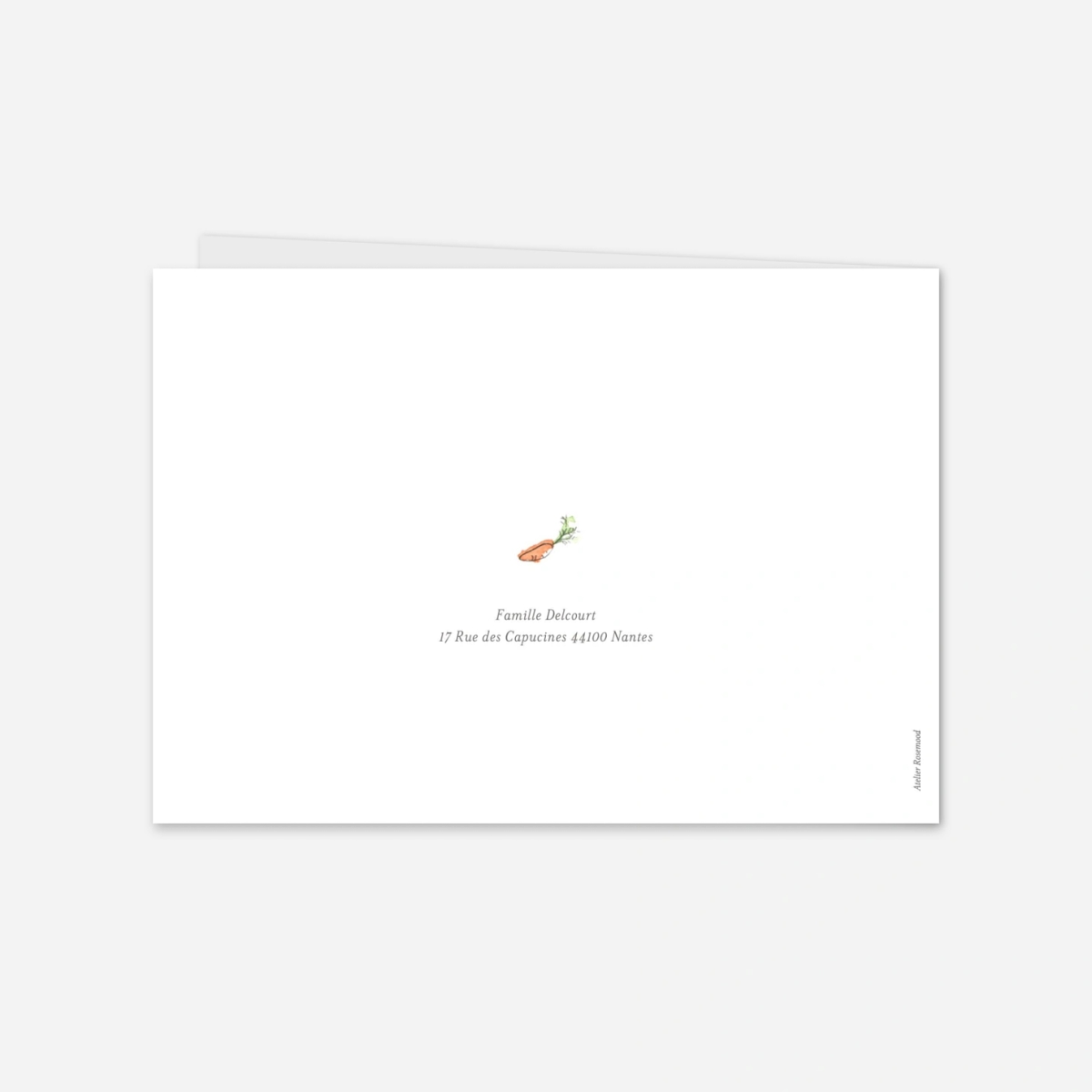 Faire-part naissance Petits lapins