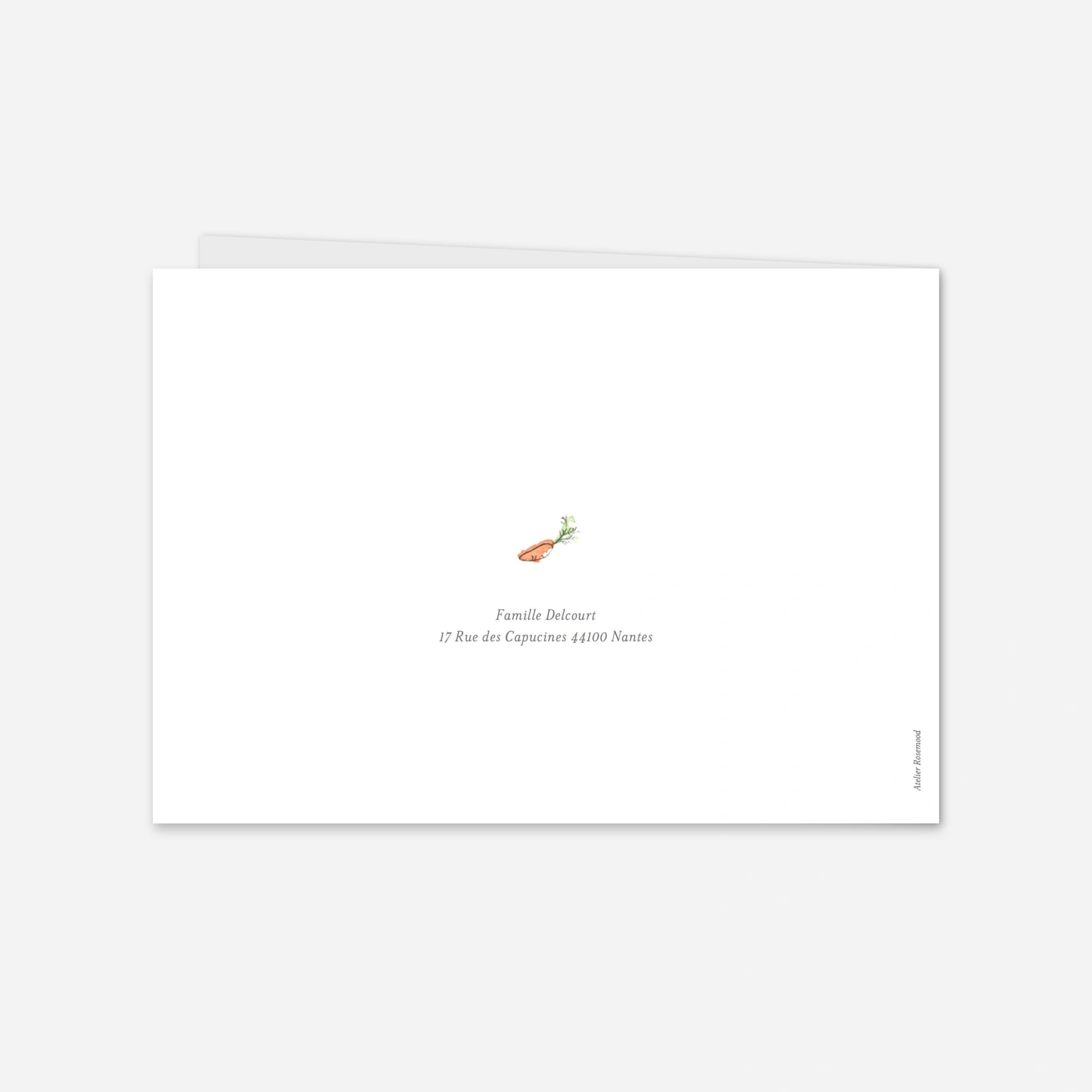 Faire-part naissance Petits lapins