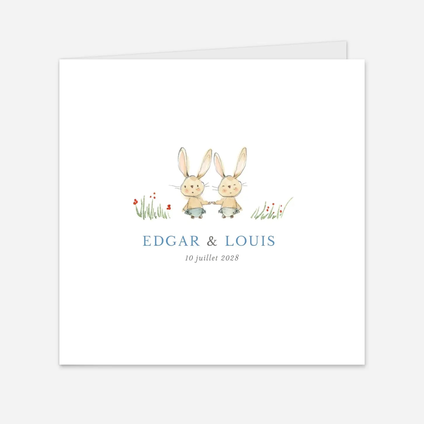 Faire-part naissance Petits lapins jumeaux