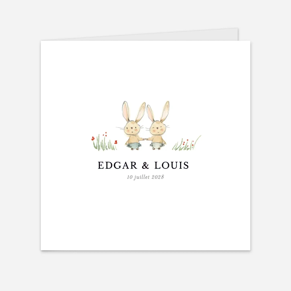Faire-part naissance Petits lapins jumeaux