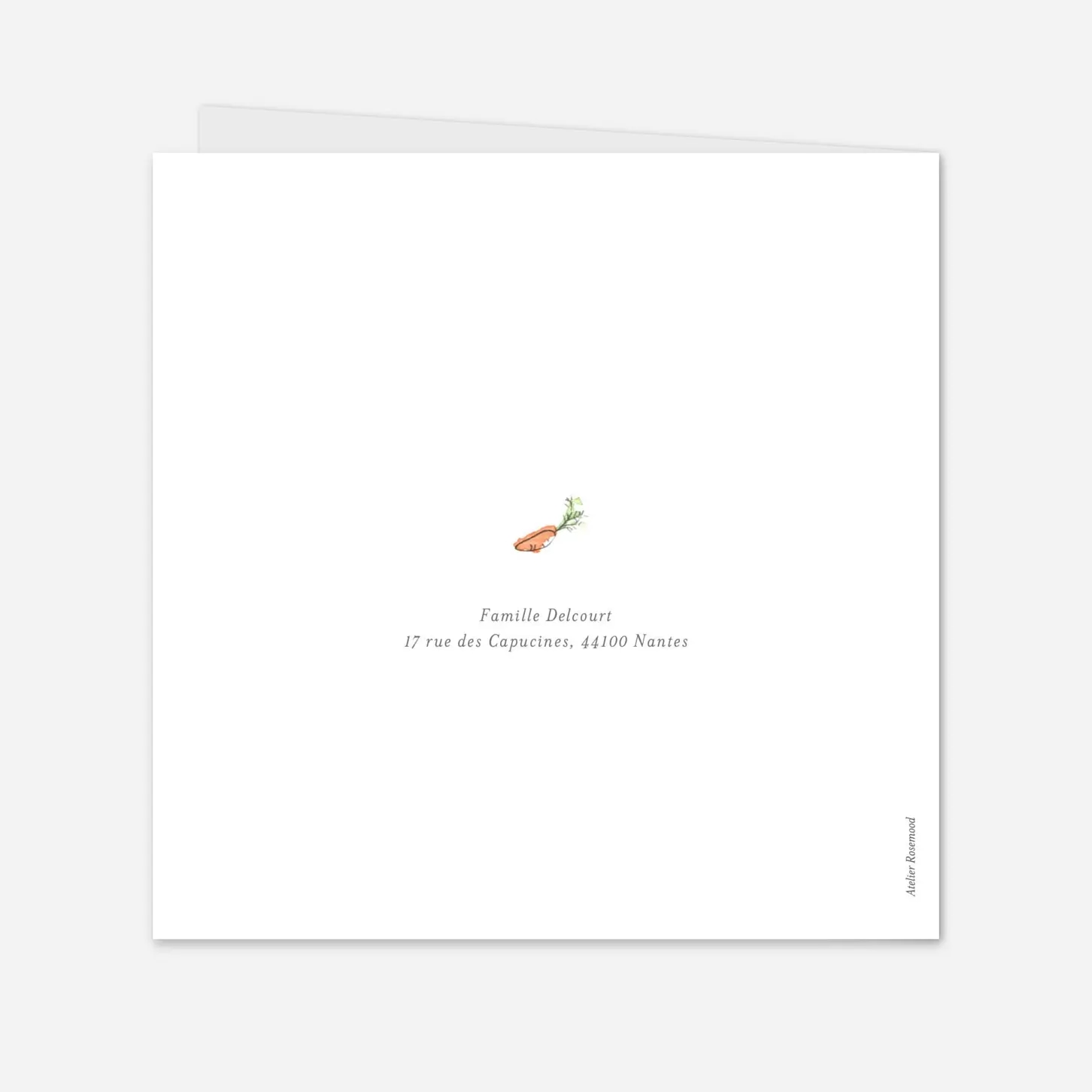 Faire-part naissance Petits lapins jumeaux