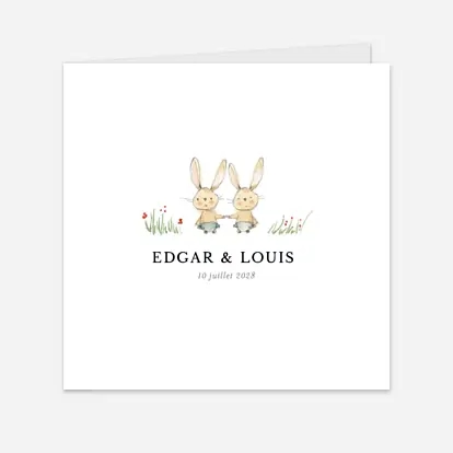 Petits lapins jumeaux