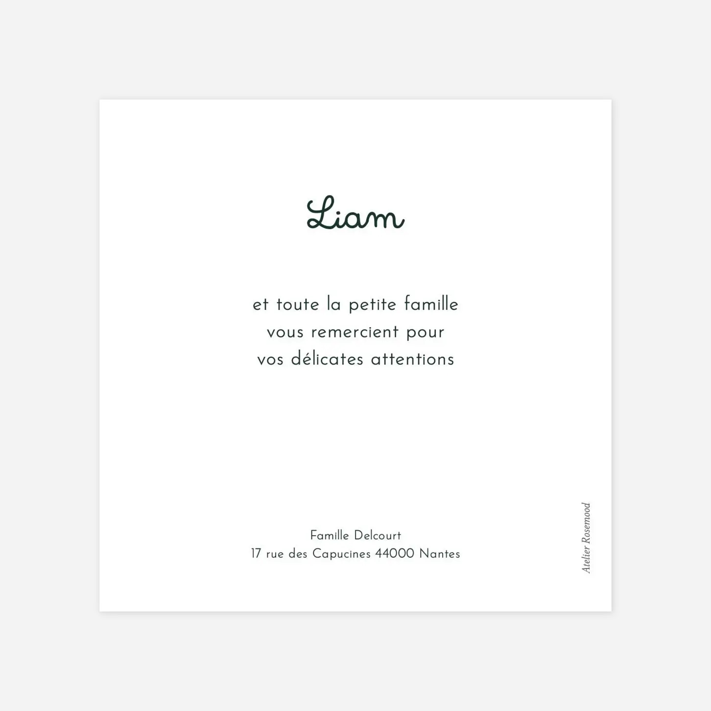 Carte remerciement naissance Petit ouistiti