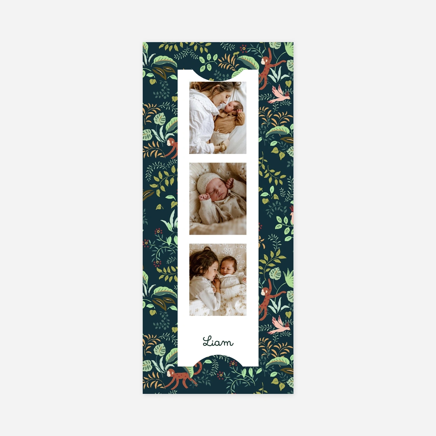 Faire-part naissance Petit ouistiti