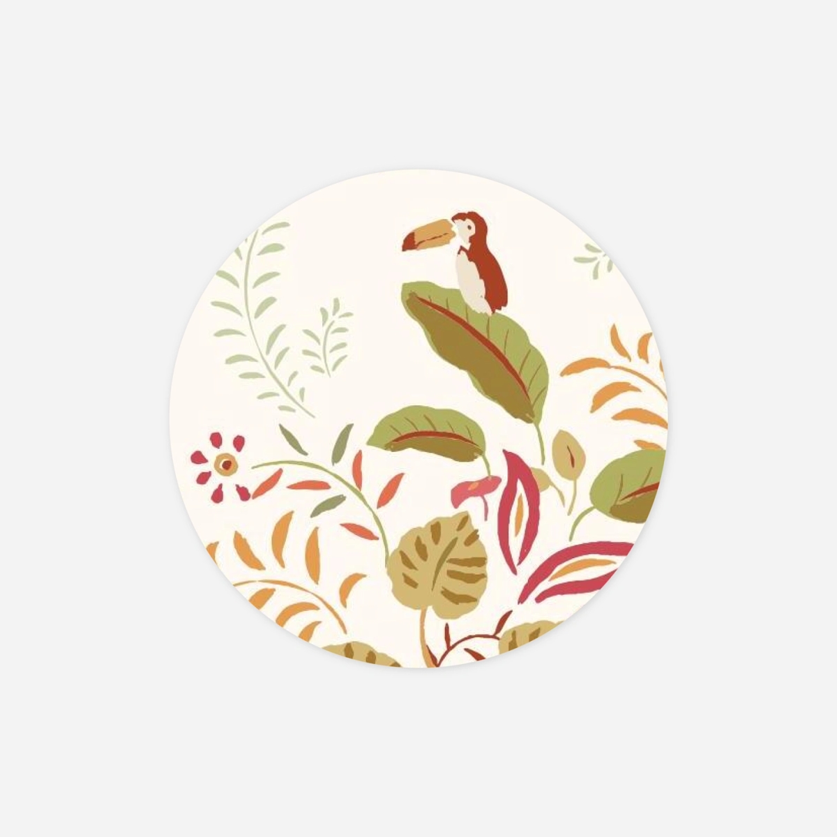 Stickers naissance Petit ouistiti