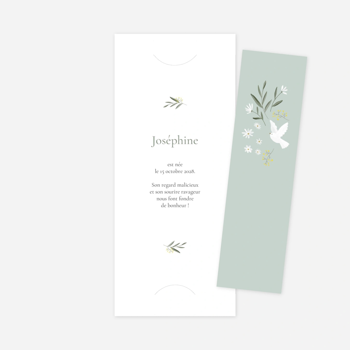 Faire-part naissance Petite colombe