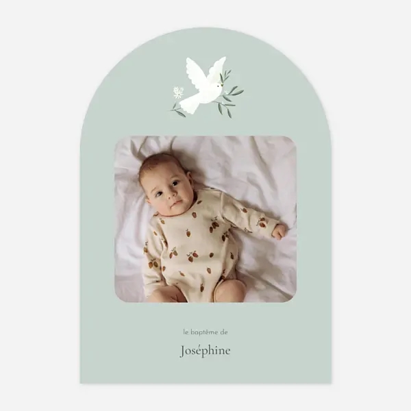 Petite colombe photo