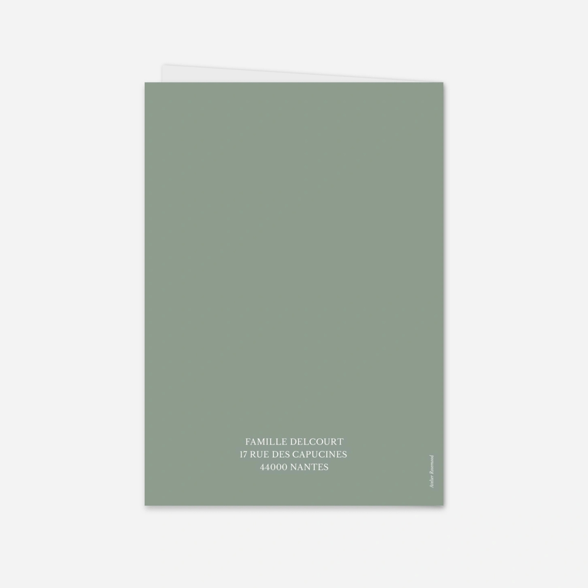 Faire-part naissance Petit frère