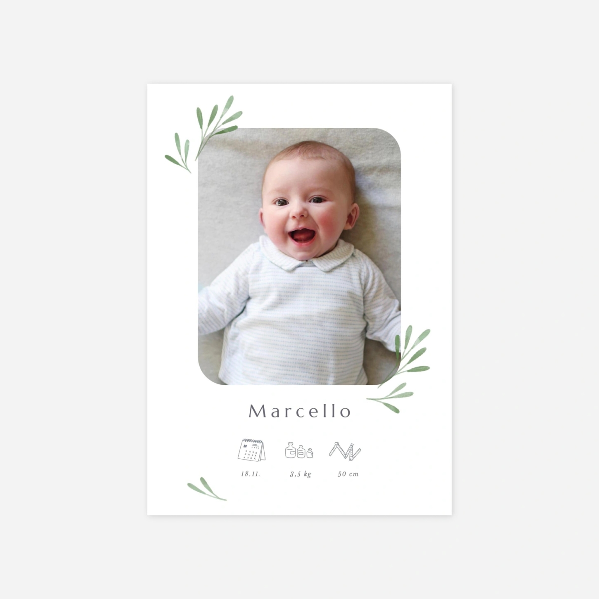 Faire-part naissance Picto végétal