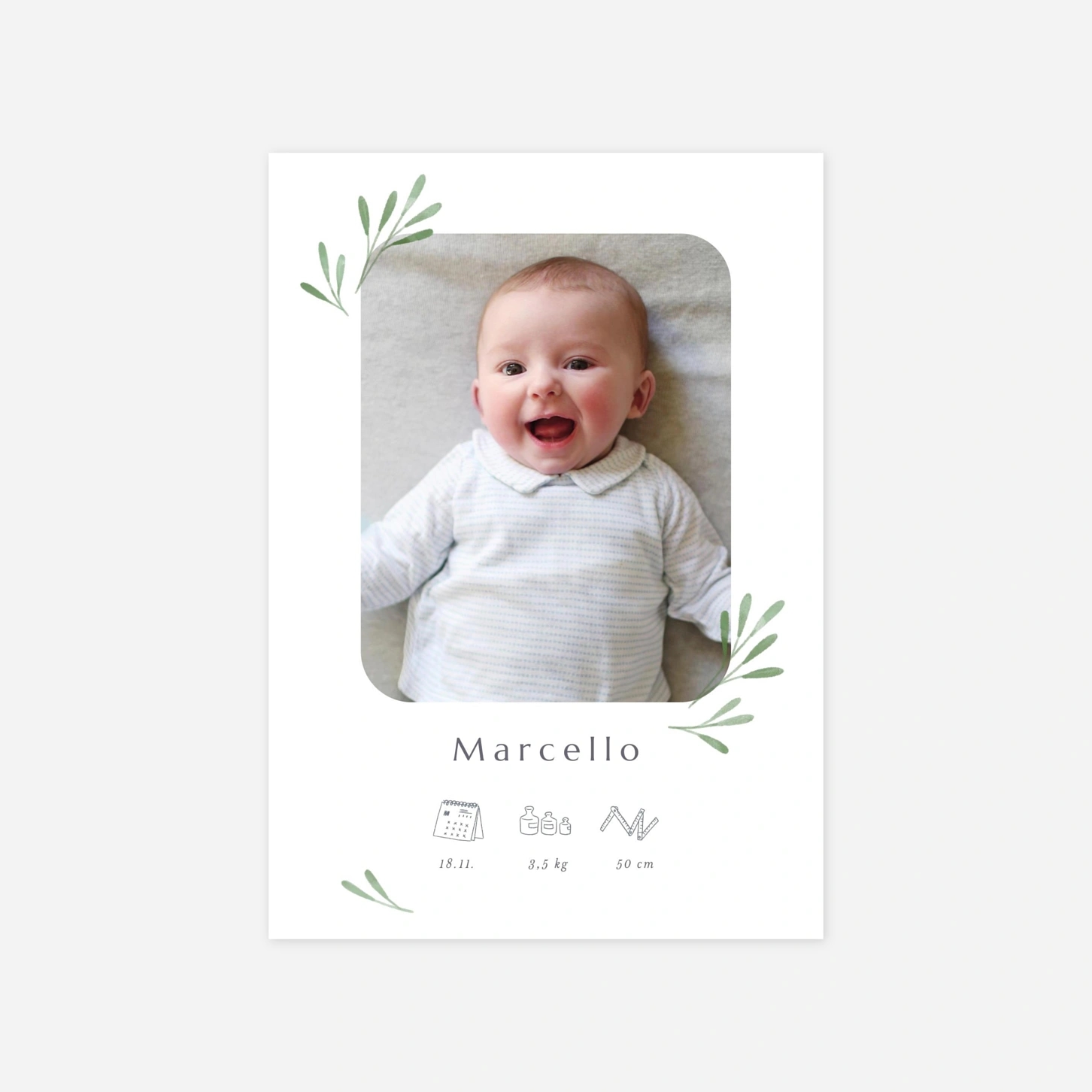 Faire-part naissance Picto végétal