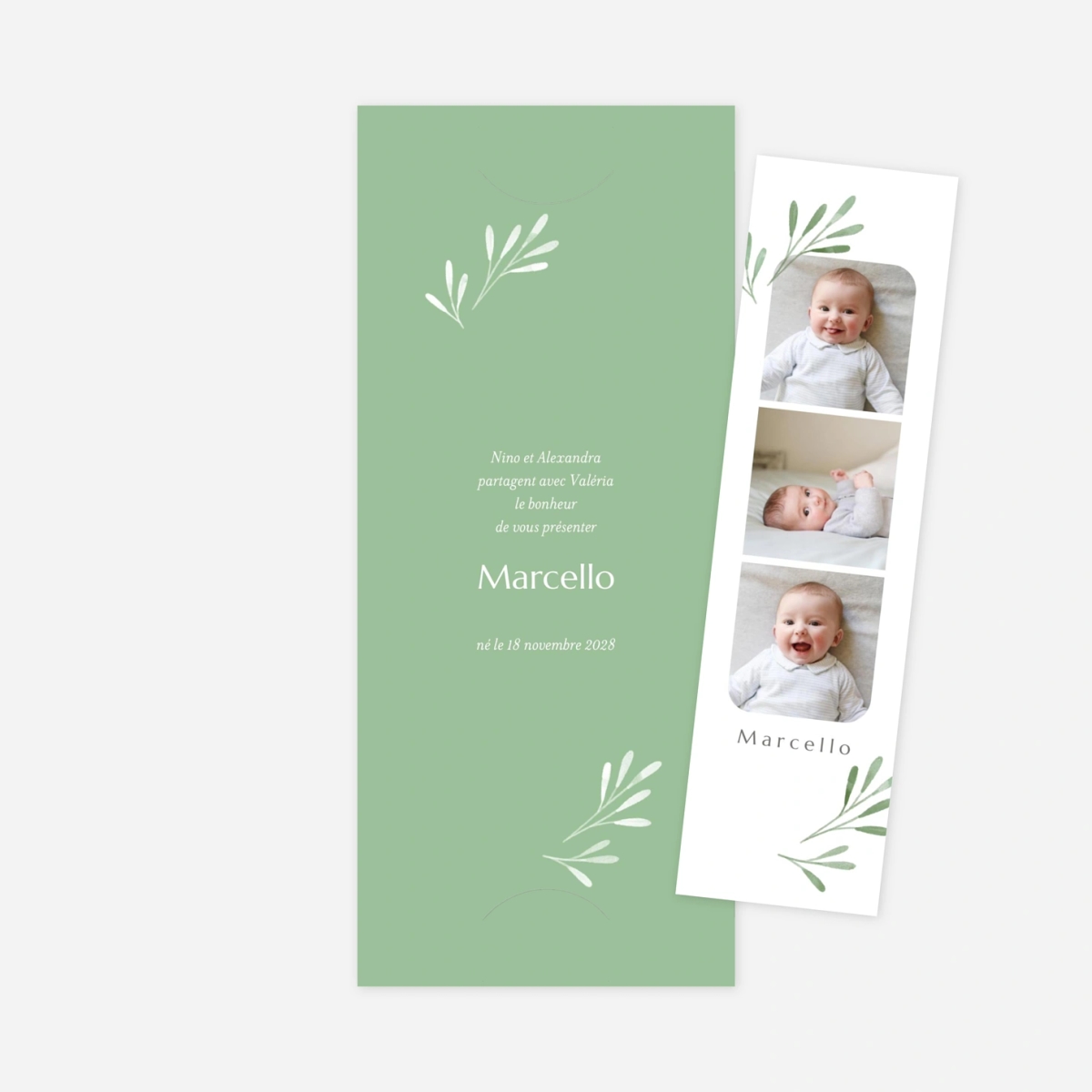 Faire-part naissance Picto végétal