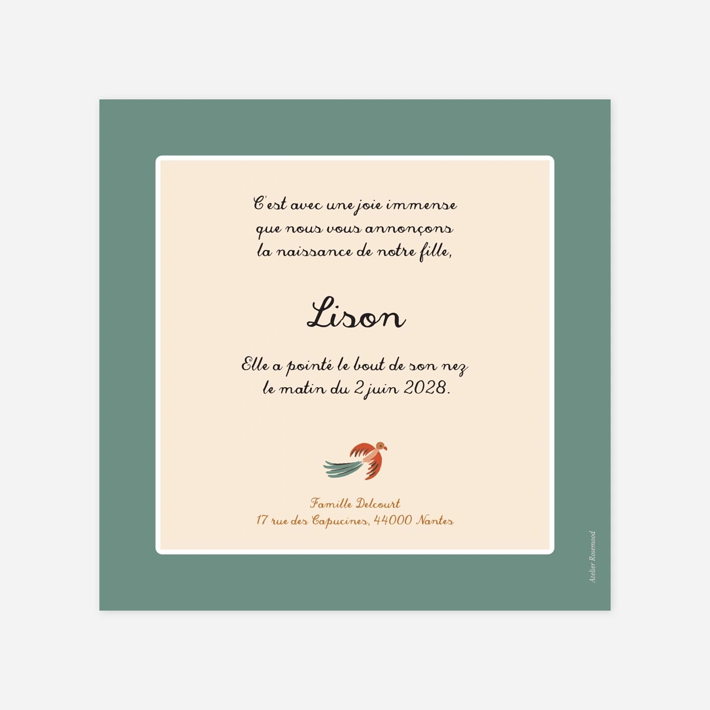 Faire-part naissance Petite jungle pictos