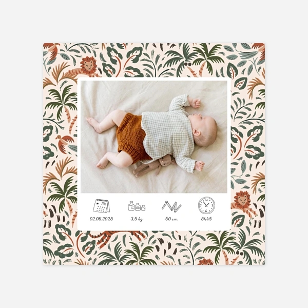 Petite jungle pictos