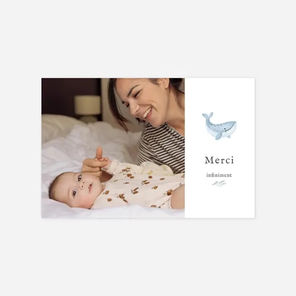 Pictos marins multiphotos