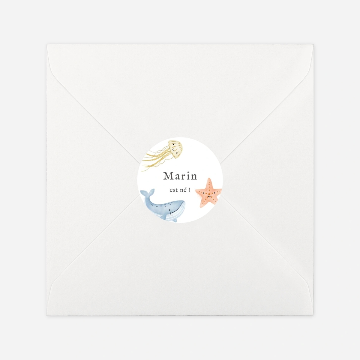 Stickers naissance Pictos marins multiphotos