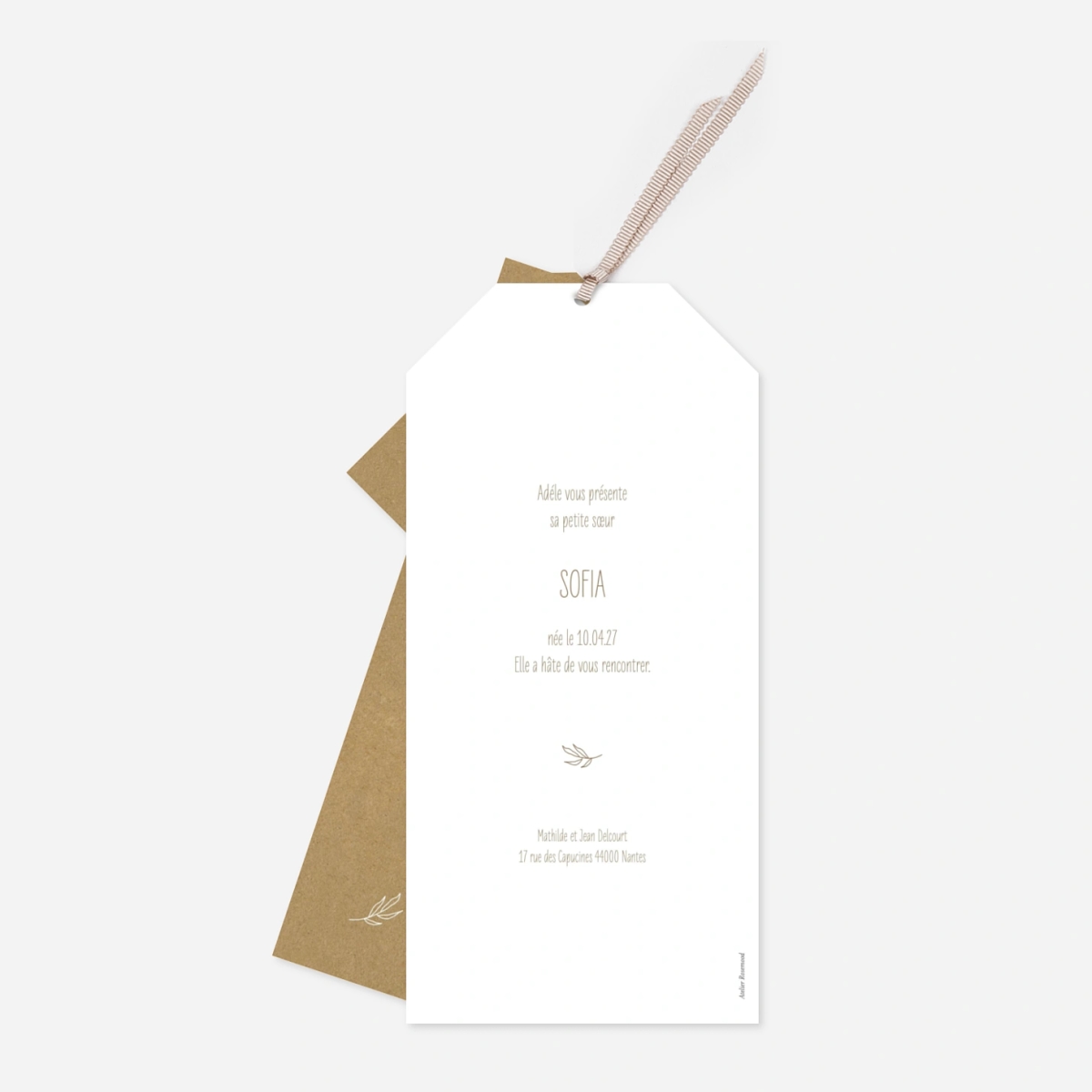 Faire-part naissance Pictos nature