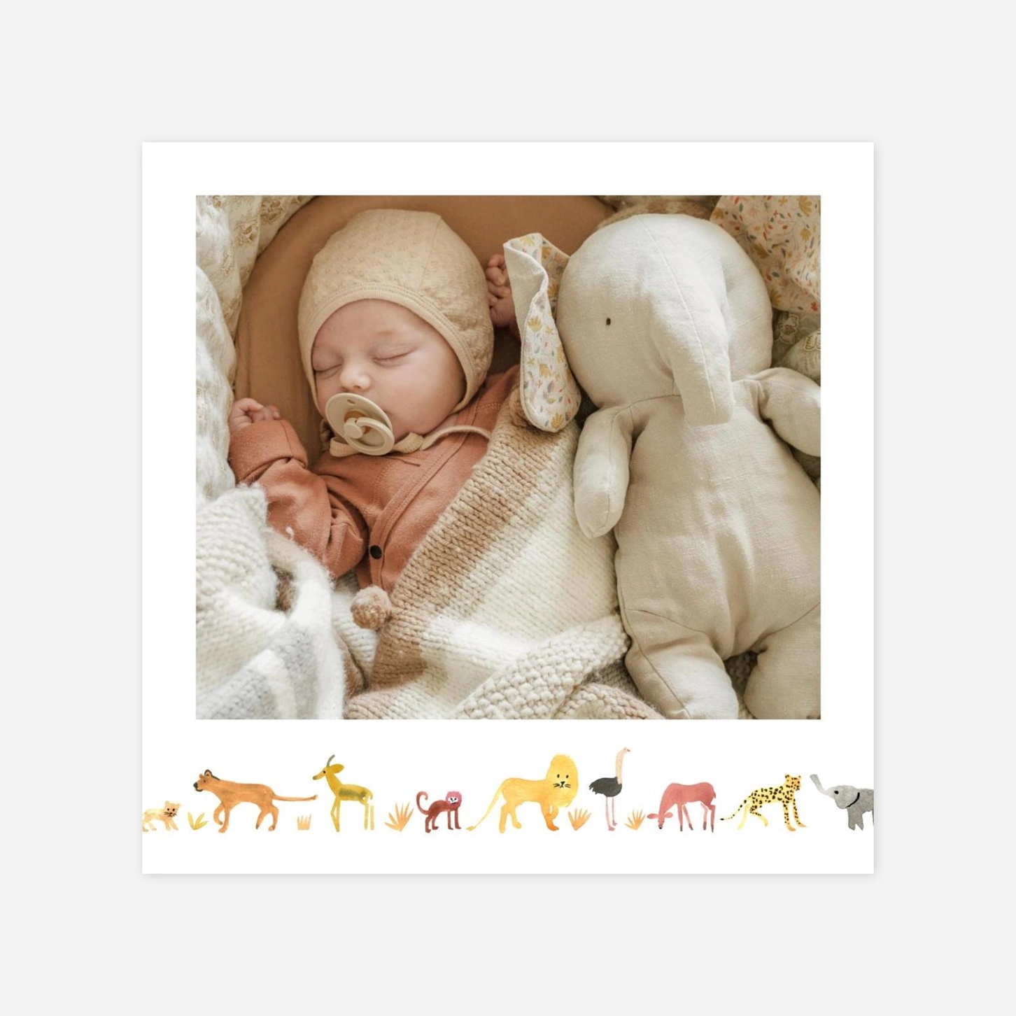 Carte remerciement naissance Savane