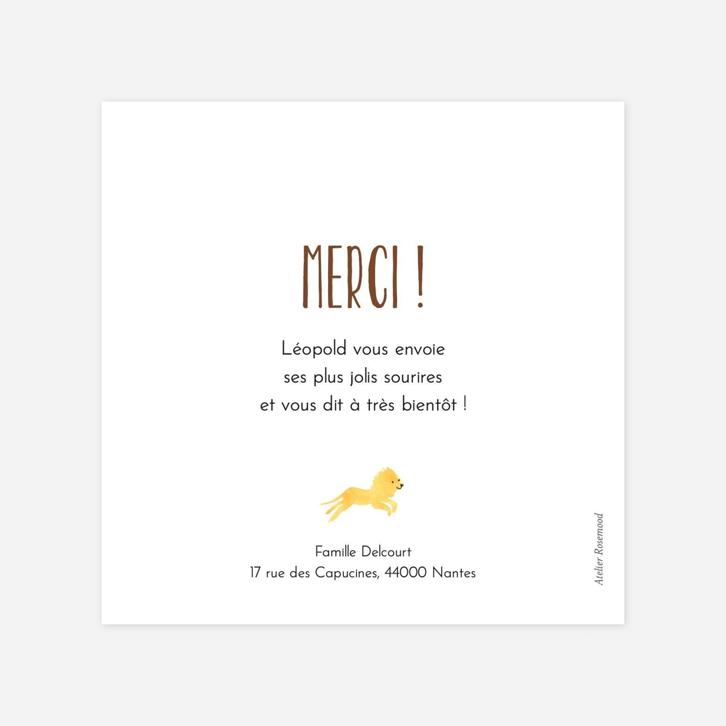 Carte remerciement naissance Savane