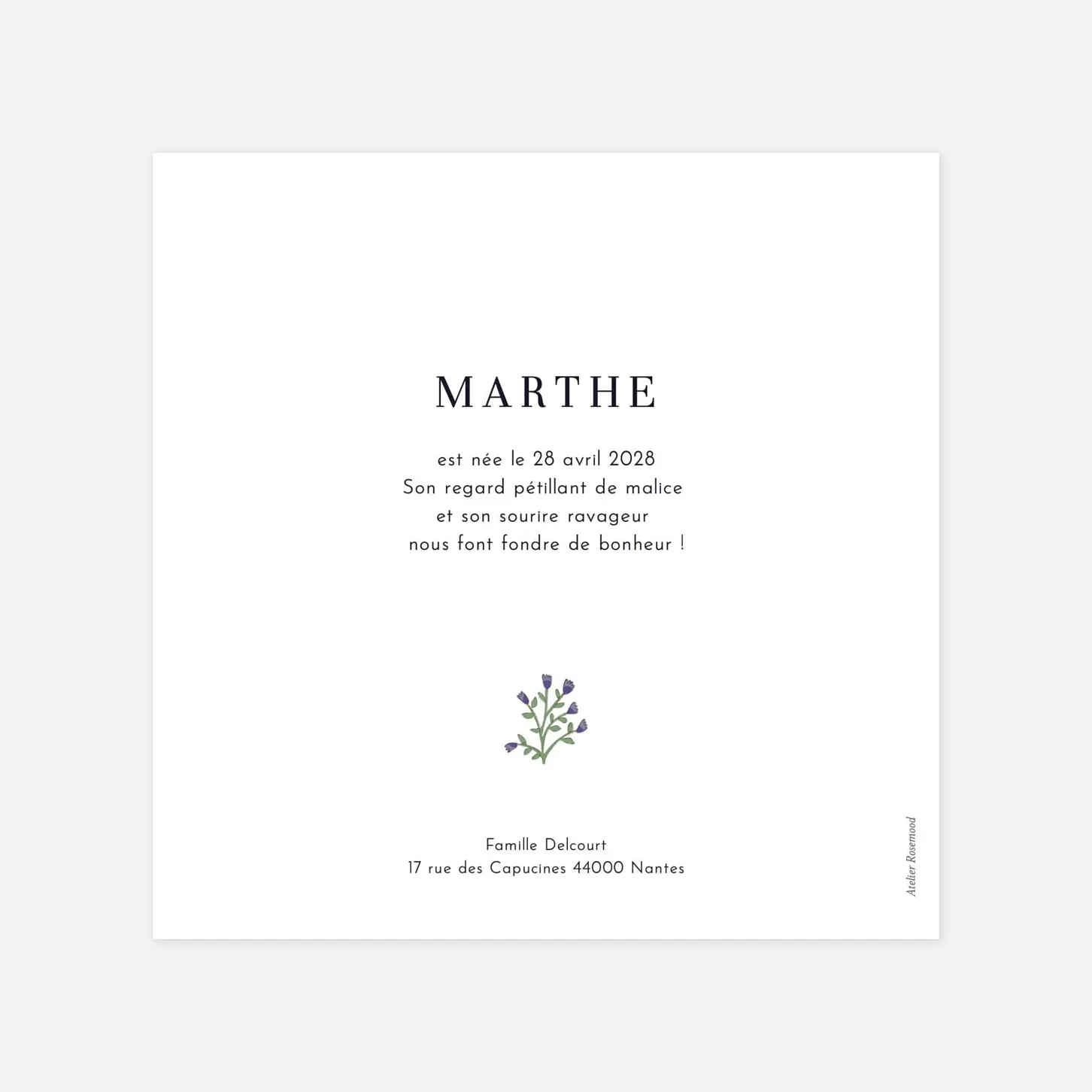 Faire-part naissance Scénette du jardin