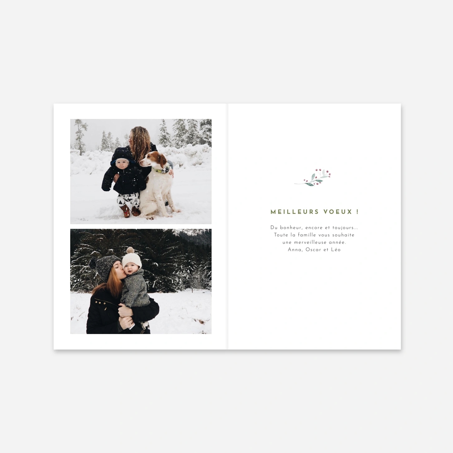 Carte de voeux Saison des voeux