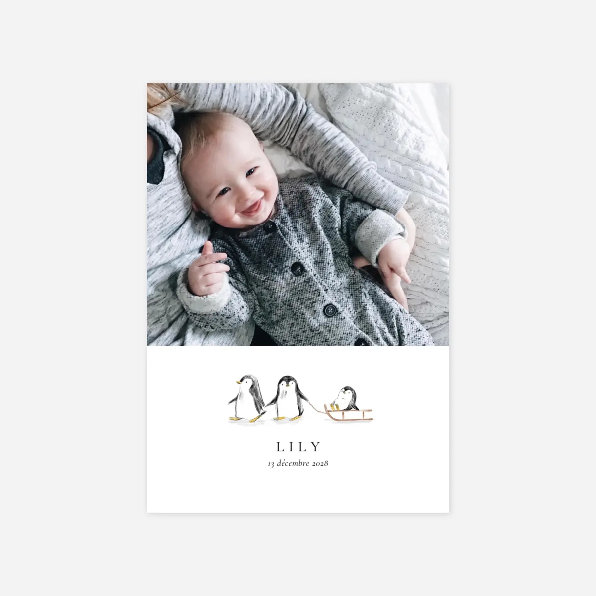 Faire-part naissance Sur la banquise