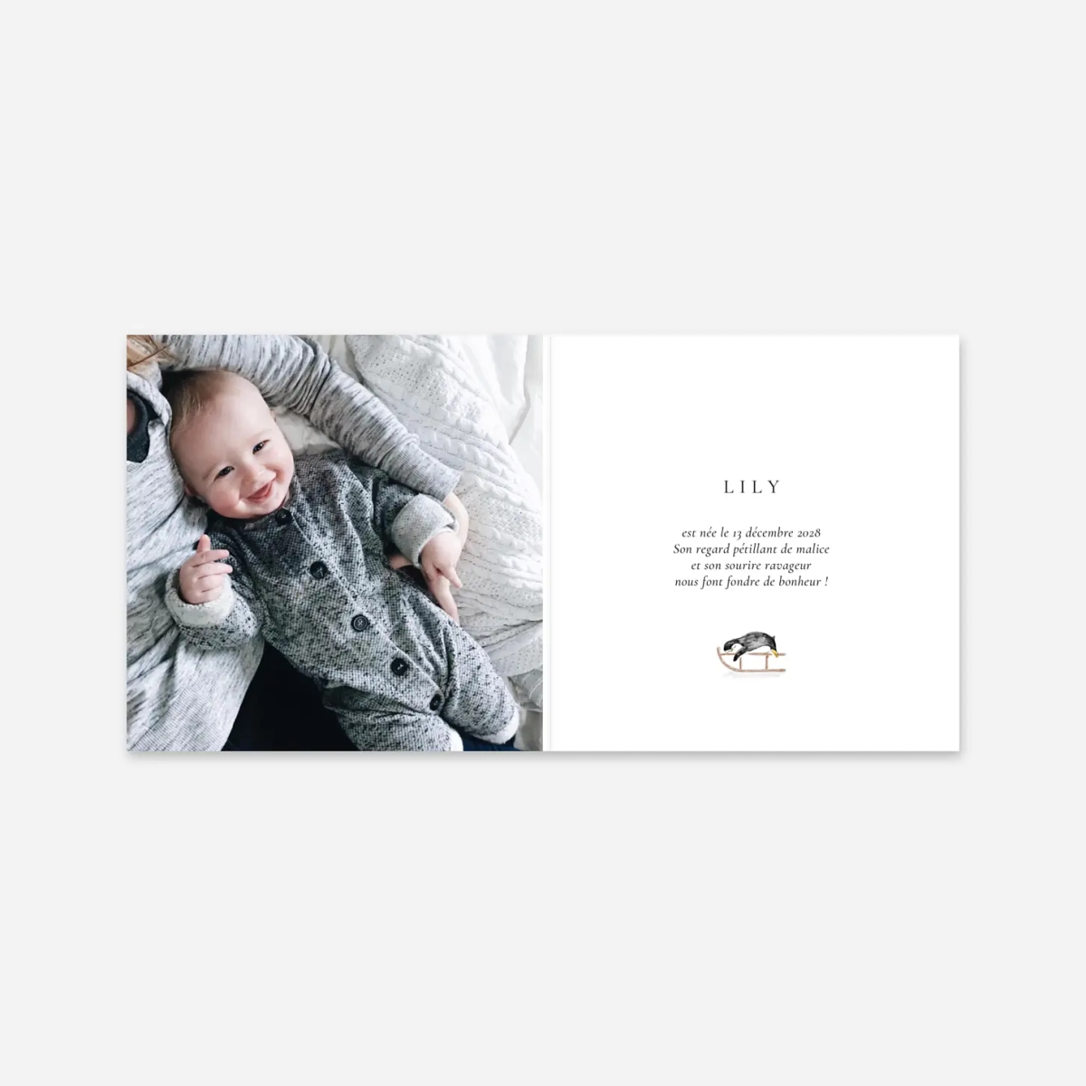 Faire-part naissance Sur la banquise