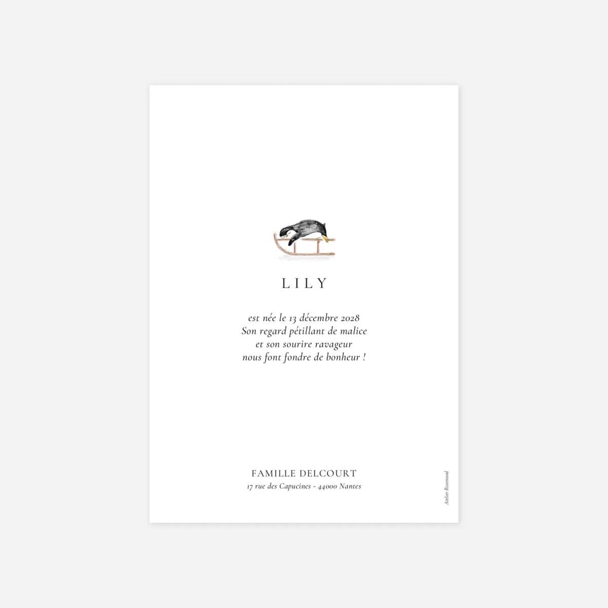 Faire-part naissance Sur la banquise