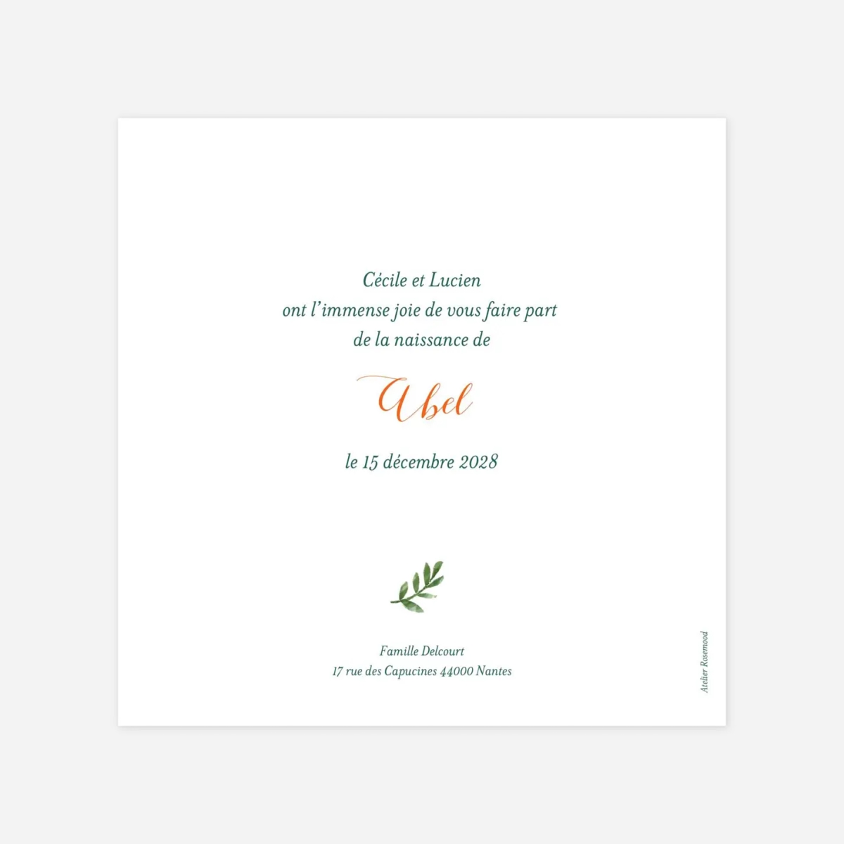 Faire-part naissance Solstice d'hiver