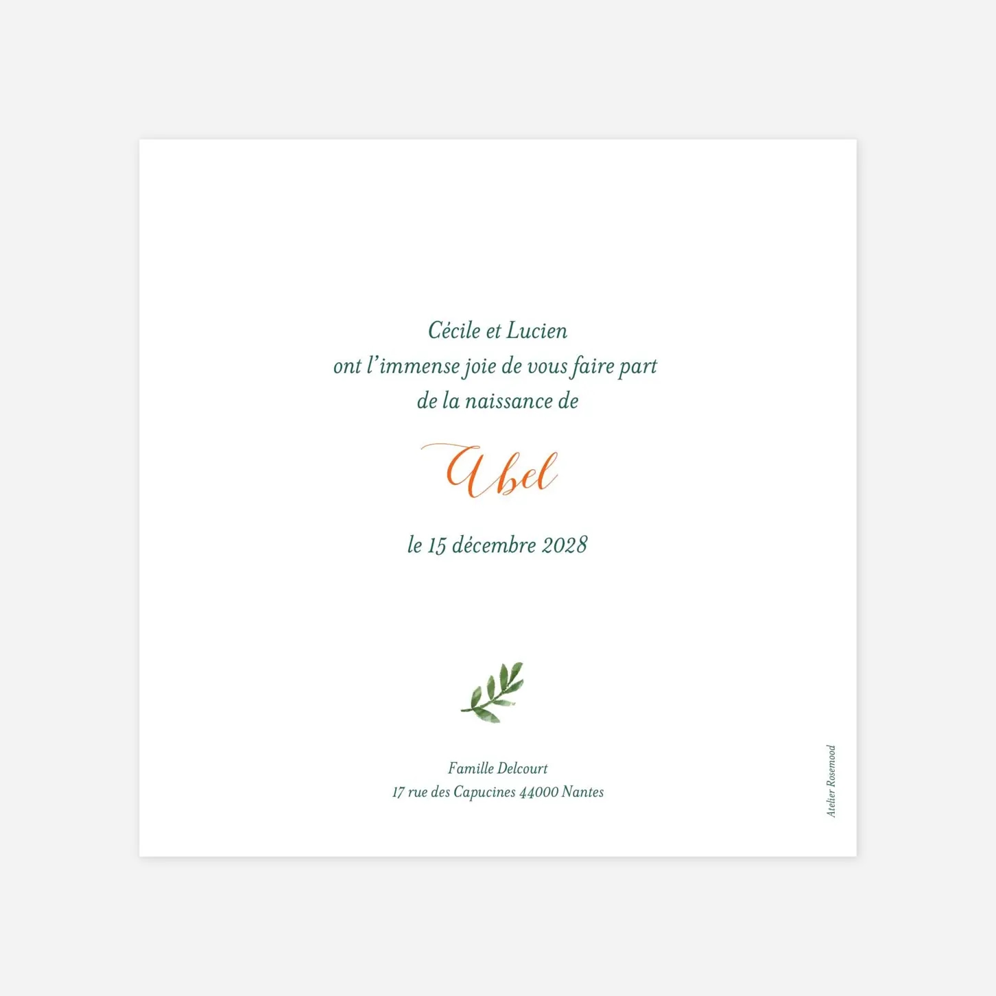 Faire-part naissance Solstice d'hiver