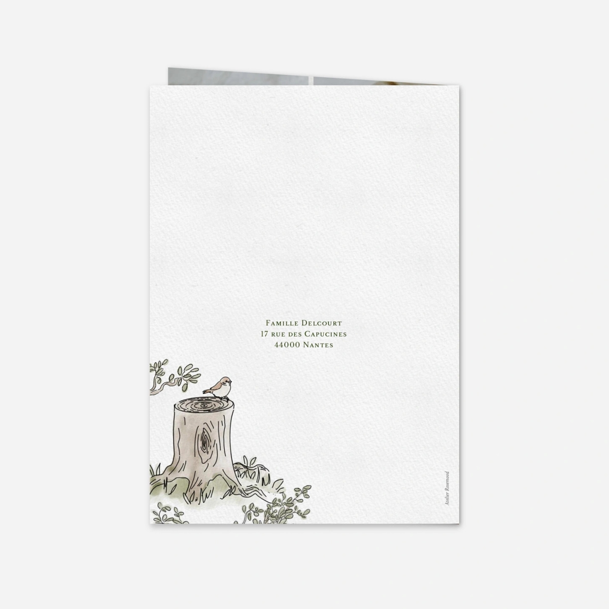 Faire-part naissance Conte de la forêt