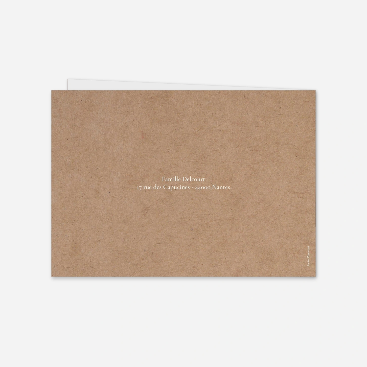 Faire-part naissance Jolis pictos