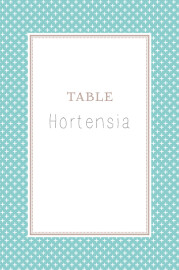 Marque-table mariage Motif chic turquoise